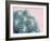 Pink Crush II-Elizabeth Urquhart-Framed Art Print