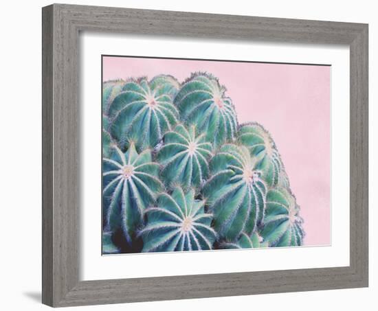 Pink Crush II-Elizabeth Urquhart-Framed Art Print