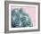 Pink Crush II-Elizabeth Urquhart-Framed Art Print