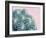 Pink Crush II-Elizabeth Urquhart-Framed Art Print