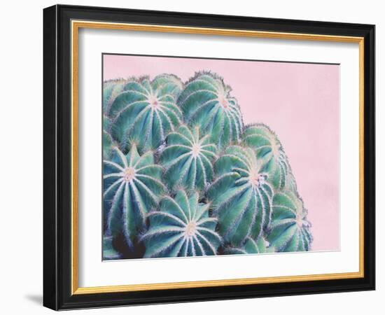 Pink Crush II-Elizabeth Urquhart-Framed Art Print