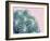 Pink Crush II-Elizabeth Urquhart-Framed Art Print