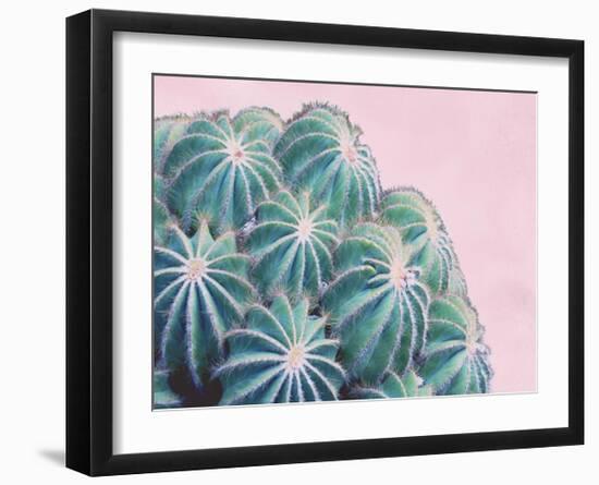 Pink Crush II-Elizabeth Urquhart-Framed Art Print