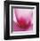 Pink Cyclamen Abstract No 255-Shams Rasheed-Framed Giclee Print