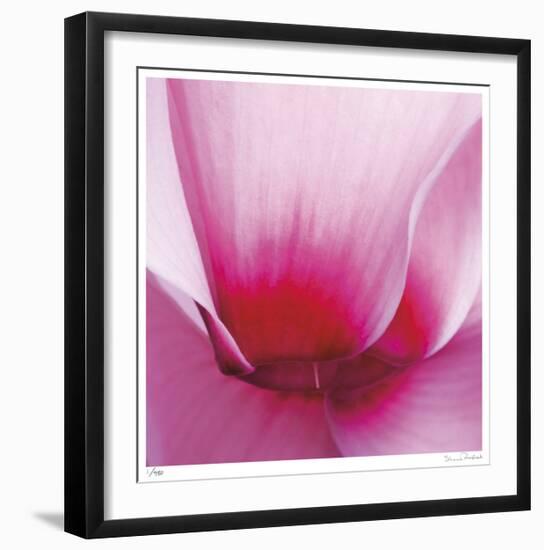 Pink Cyclamen Abstract No 255-Shams Rasheed-Framed Giclee Print