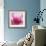 Pink Cyclamen Abstract No 255-Shams Rasheed-Framed Giclee Print displayed on a wall