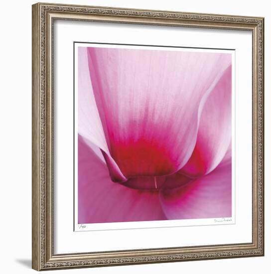 Pink Cyclamen Abstract No 255-Shams Rasheed-Framed Giclee Print