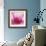 Pink Cyclamen Abstract No 255-Shams Rasheed-Framed Giclee Print displayed on a wall