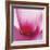 Pink Cyclamen Abstract No 255-Shams Rasheed-Framed Giclee Print