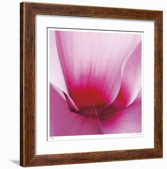 Pink Cyclamen Abstract No 255-Shams Rasheed-Framed Giclee Print