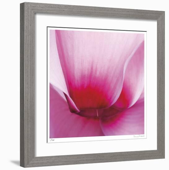 Pink Cyclamen Abstract No 255-Shams Rasheed-Framed Giclee Print