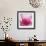 Pink Cyclamen Abstract No 255-Shams Rasheed-Framed Giclee Print displayed on a wall