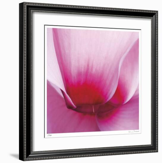 Pink Cyclamen Abstract No 255-Shams Rasheed-Framed Giclee Print