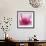 Pink Cyclamen Abstract No 255-Shams Rasheed-Framed Giclee Print displayed on a wall