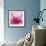 Pink Cyclamen Abstract No 255-Shams Rasheed-Framed Giclee Print displayed on a wall