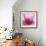 Pink Cyclamen Abstract No 255-Shams Rasheed-Framed Giclee Print displayed on a wall