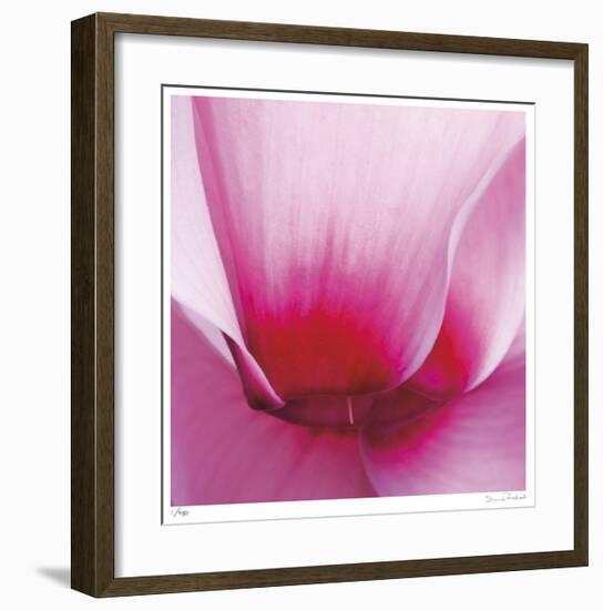 Pink Cyclamen Abstract No 255-Shams Rasheed-Framed Giclee Print