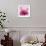 Pink Cyclamen Abstract No 255-Shams Rasheed-Framed Giclee Print displayed on a wall