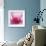 Pink Cyclamen Abstract No 255-Shams Rasheed-Framed Giclee Print displayed on a wall