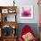 Pink Cyclamen Abstract No 255-Shams Rasheed-Framed Giclee Print displayed on a wall