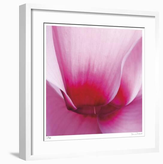 Pink Cyclamen Abstract No 255-Shams Rasheed-Framed Giclee Print