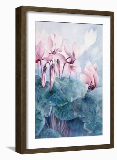Pink Cyclamen Pseudibericum-Karen Armitage-Framed Giclee Print