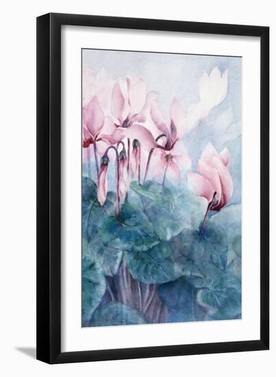 Pink Cyclamen Pseudibericum-Karen Armitage-Framed Giclee Print