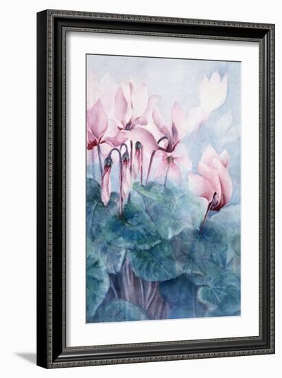 Pink Cyclamen Pseudibericum-Karen Armitage-Framed Giclee Print