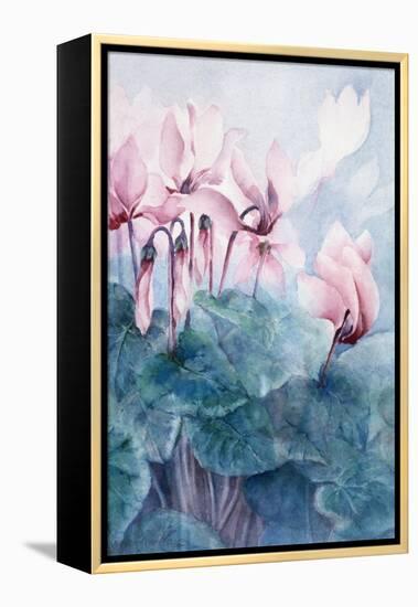Pink Cyclamen Pseudibericum-Karen Armitage-Framed Premier Image Canvas