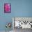 Pink Dahlia II-Kathy Mahan-Framed Premier Image Canvas displayed on a wall