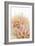 Pink Dahlia II-Karyn Millet-Framed Photographic Print