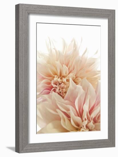 Pink Dahlia II-Karyn Millet-Framed Photographic Print