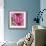 Pink Dahlia-Stacy Bass-Framed Giclee Print displayed on a wall