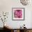 Pink Dahlia-Stacy Bass-Framed Giclee Print displayed on a wall