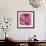 Pink Dahlia-Stacy Bass-Framed Giclee Print displayed on a wall