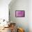 Pink Dahlia-Karyn Millet-Framed Premier Image Canvas displayed on a wall