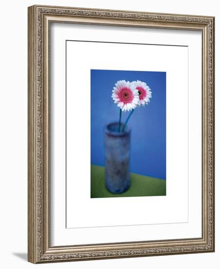 Pink Daisies-unknown unknown-Framed Photo