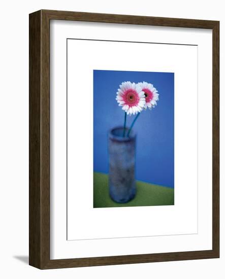 Pink Daisies-unknown unknown-Framed Photo