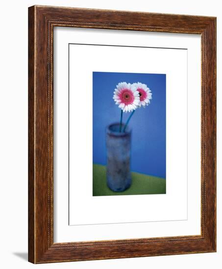 Pink Daisies-unknown unknown-Framed Photo