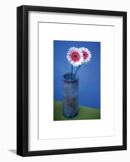Pink Daisies-unknown unknown-Framed Photo