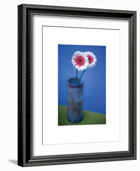 Pink Daisies-unknown unknown-Framed Photo