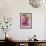 Pink Dalhia I-Maureen Love-Framed Photographic Print displayed on a wall