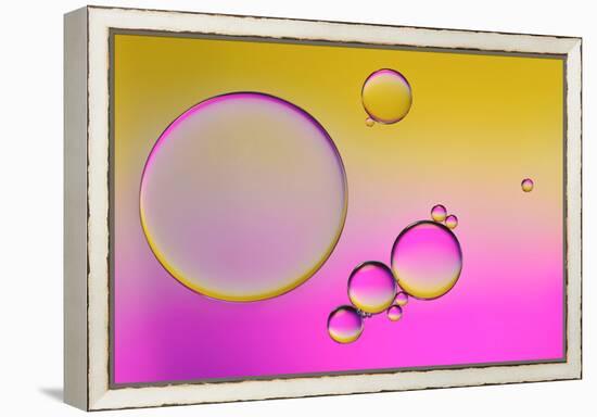 Pink Delight In Yellow-Heidi Westum-Framed Premier Image Canvas