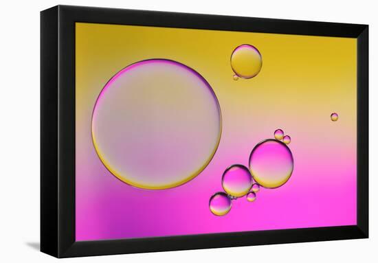 Pink Delight In Yellow-Heidi Westum-Framed Premier Image Canvas