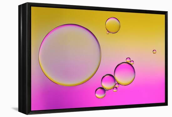 Pink Delight In Yellow-Heidi Westum-Framed Premier Image Canvas