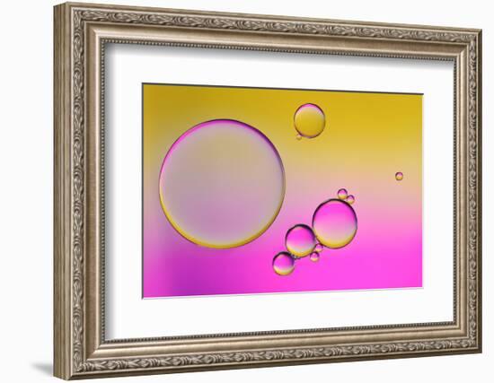 Pink Delight In Yellow-Heidi Westum-Framed Photographic Print