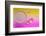 Pink Delight In Yellow-Heidi Westum-Framed Photographic Print