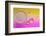 Pink Delight In Yellow-Heidi Westum-Framed Photographic Print