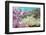 Pink Dendronephthya, Soft Coral, and Anemonefish, Southern Thailand, Andaman Sea, Indian Ocean-Andrew Stewart-Framed Photographic Print