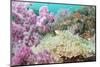 Pink Dendronephthya, Soft Coral, and Anemonefish, Southern Thailand, Andaman Sea, Indian Ocean-Andrew Stewart-Mounted Photographic Print